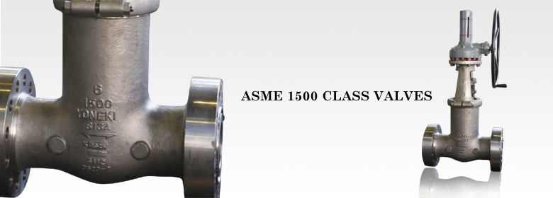 ASME 1500 CLASS VALVES