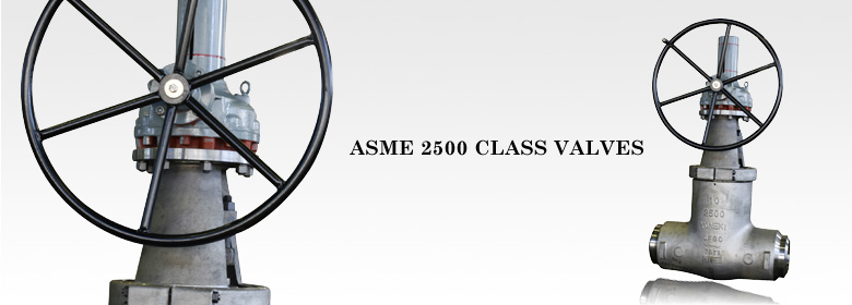 ASME 2500 CLASS VALVES
