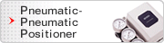 Pneumatic-Pneumatic Positioner